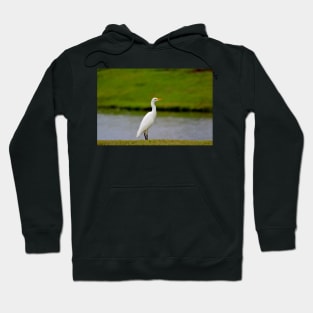 Standing Along The Edge Hoodie